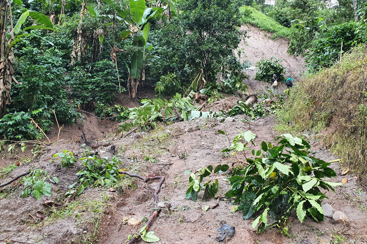 Hurrikanhilfe für unsere Kaffeepartner in Zentralamerika