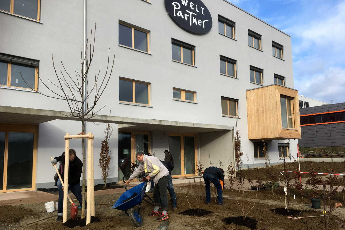 WeltPartner-Pflanzaktion in Ravensburg-Erlen